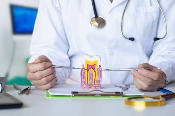 Best Broken or Cracked Tooth Emergency Dentist in Marshville, NC